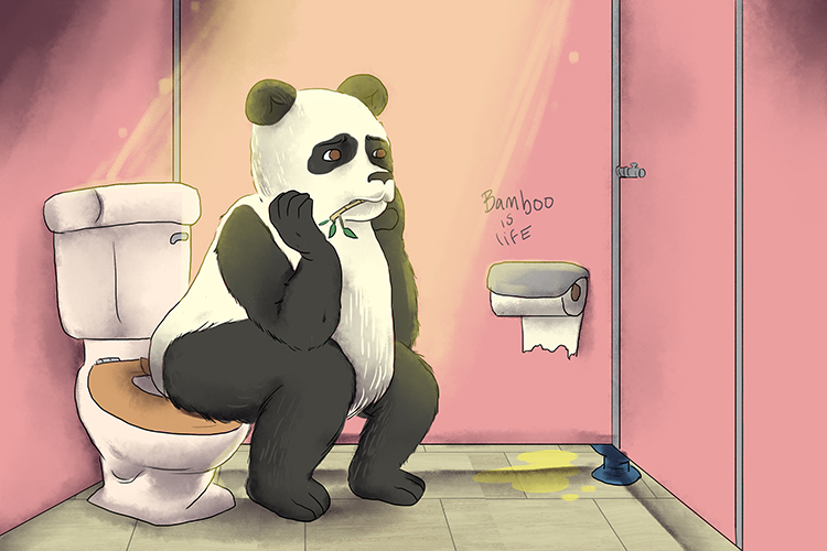 It could be because of embarrassment – pandas poop up to 40 times a day! it must be all that bamboo they eat.
